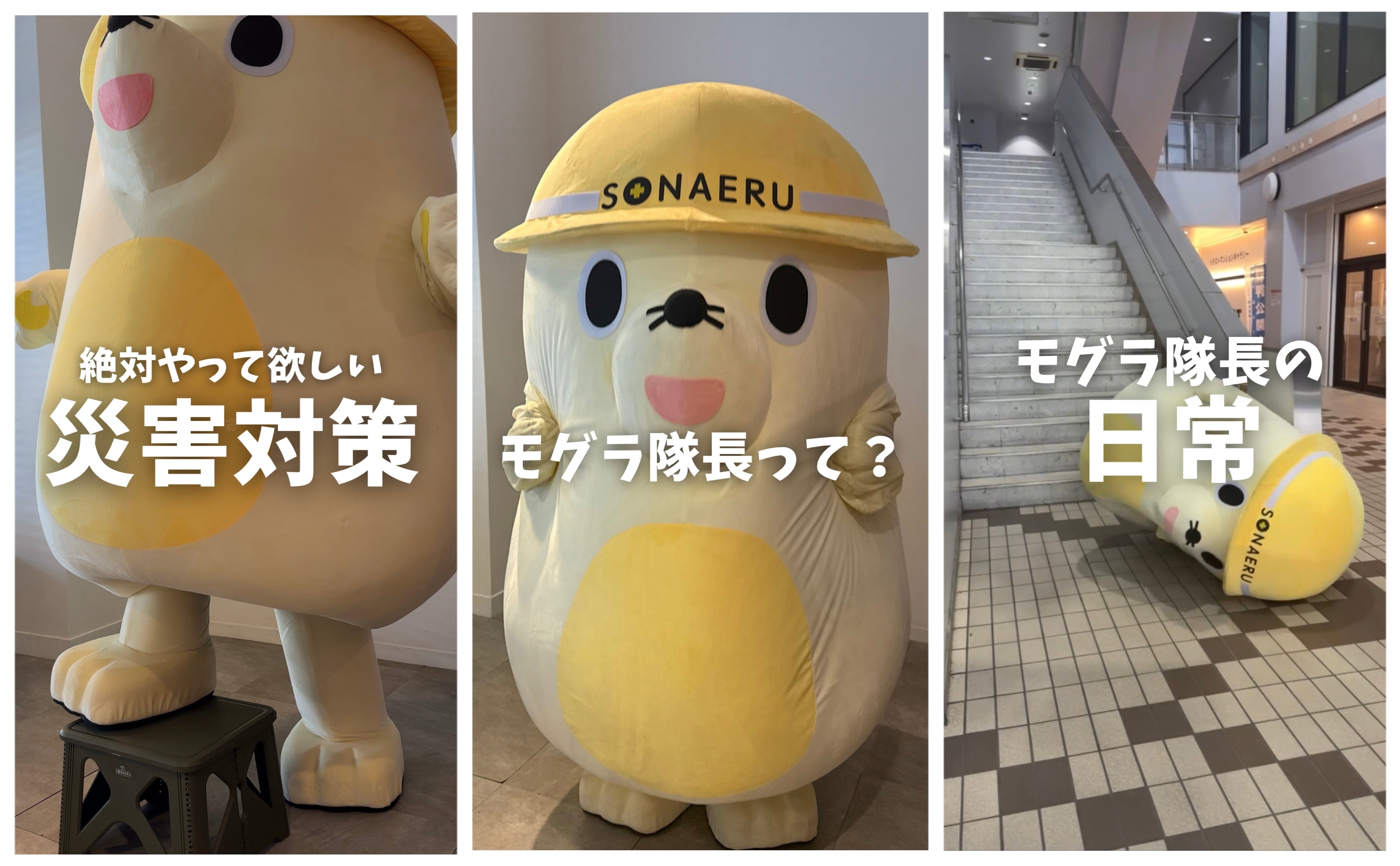 モグラ隊長がコミカルな動きで登場!笑えてタメになる“有益情報”を楽しくお届けするショートムービーを2025年5月19日から公開スタート。