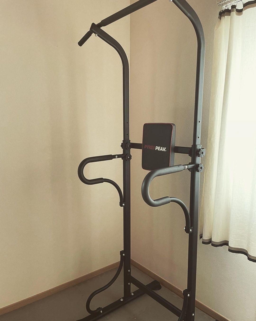 ぶら下がり健康器 - PYKES PEAK