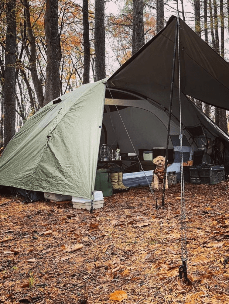 パーティー ドームテント 大型ドームテント 4〜6人用 家族 おしゃれ おすすめ 機能性 - PYKES PEAK