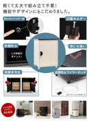 「キョロキョロおめめが可愛すぎる！」と主婦を中心にSNSで話題!! なんとも言えない表情が癒される 戸建て用宅配ボックス"シャイニー" TAKUHAI BOX シャイニー 大容量 防水 北欧 盗難防止 置き配 屋外 戸建て 個人宅 （ウッドブラック）シャイニー - PYKES PEAK