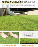 【FIFA公認工場生産】人工芝 防草シート 一体型 防草できる人工芝/スタンダード人工芝 【庭が公園に】 - PYKES PEAK