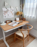 【YouTuberさんに多数紹介されました】電動式 引き出し付き 次世代スタンディングデスク【S-200 LITE】4カラー - PYKES PEAK