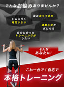 ぶら下がり健康器 PX-200 - PYKES PEAK