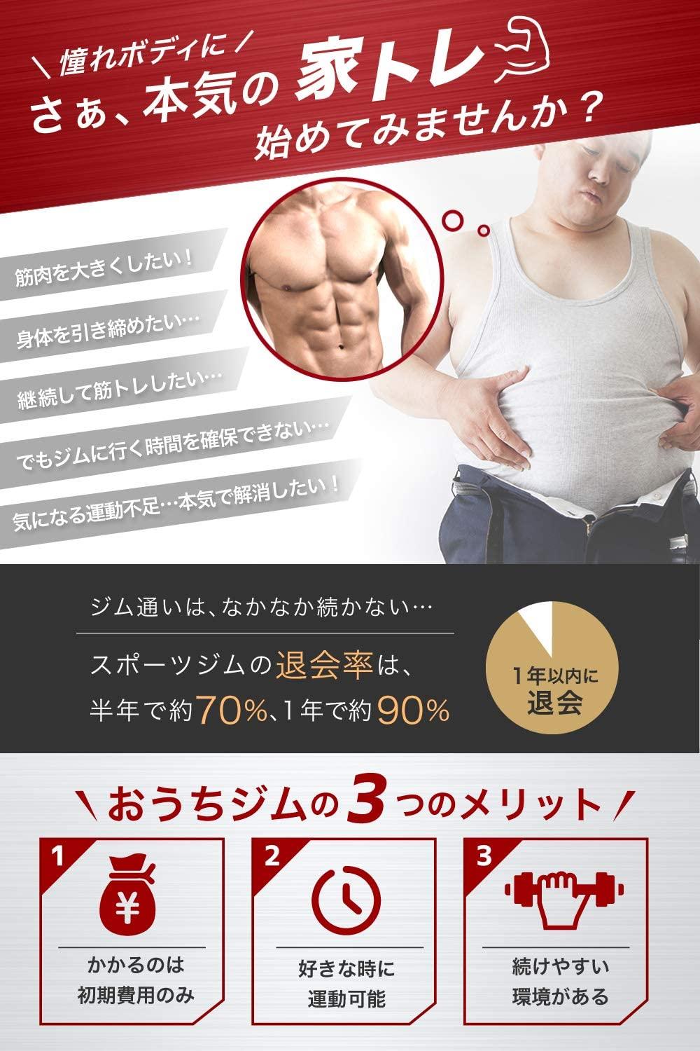 ぶら下がり健康器 - PYKES PEAK