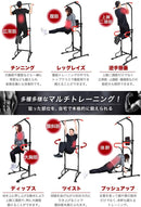 ぶら下がり健康器 - PYKES PEAK