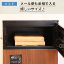 【値上げ直前セール35%OFF!!12/20(水)まで!】ポスト型宅配ボックス 一戸建て用 PYKES PEAK パイクスピーク - PYKES PEAK