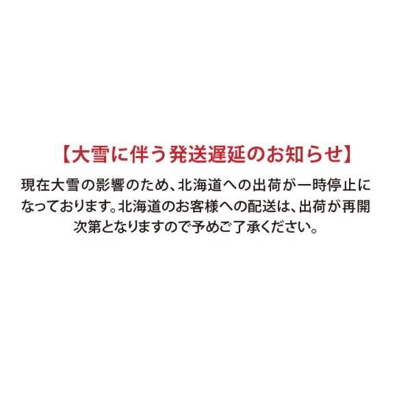 【大雪に伴う発送遅延のお知らせ】 - PYKES PEAK