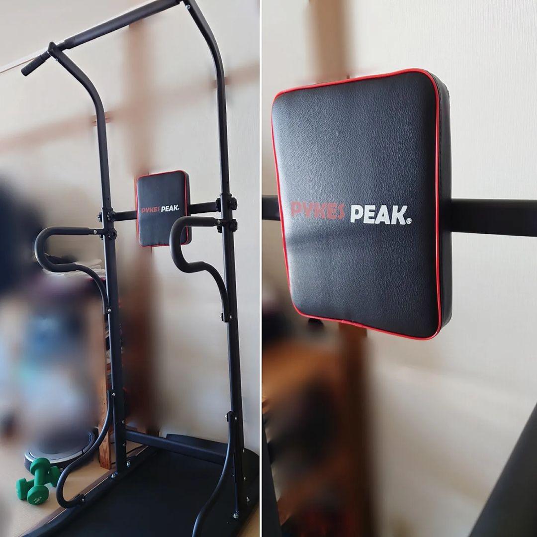 ぶら下がり健康器 - PYKES PEAK