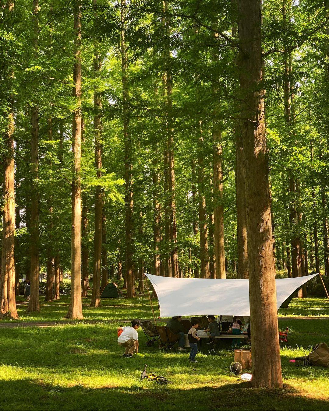 ヘキサタープ 1-2人用/3~4人用/5~6人用 5色 HEXA TARP - PYKES PEAK