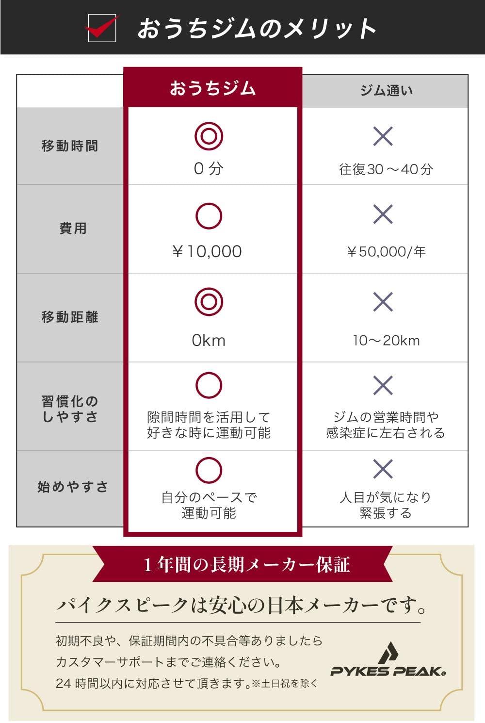 ぶら下がり健康器 - PYKES PEAK